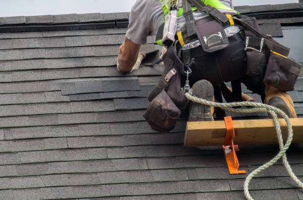 Best Roof Moss and Algae Removal  in Belfast, ME