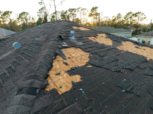 Best Roof Coating and Sealing  in Belfast, ME